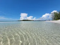 Peaceful Longboat Key Canal Home