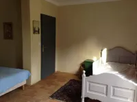 Provencal property with swimming pool in a wooded area, access to the sea by bike