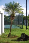 El Yunque - Relaxing Ocean Breeze and Fun- Rio Grande