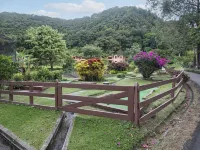 Paradise House, Boquete  - Hiking, Birding, Coffee! Walk to town. - Gym