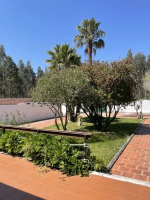 Villa with garden and swimming pool surrounded by nature and close to the beach