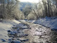Chalet Sean, peaceful retreat on beautiful mountain brook and walk to river.. Hotels in Sutton