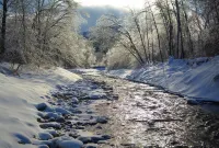 Chalet Sean, peaceful retreat on beautiful mountain brook and walk to river..