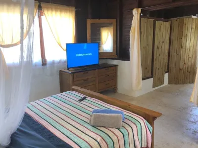 Authentic Beachfront Caribbean Hideaway-Crashing Surf, Palms, & Tradewinds! Отели в г. 