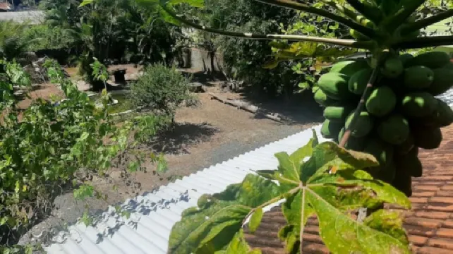 Charming apartment 400 meters from the beach and Boqueirão