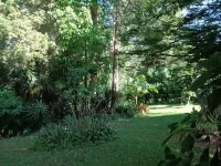 Noosa Buoys