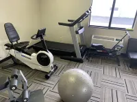 Eco-Lux Inn Norfolk - Gym