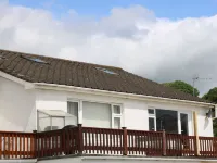 The Cartwheel - Lemmikkieläimet sallittu