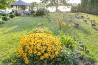 Motel Rideau Hotels in Brossard