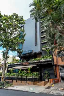 Hotel Foresto 365 - Bar