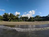 Beachfront Estate with Pool and Tropical Garden