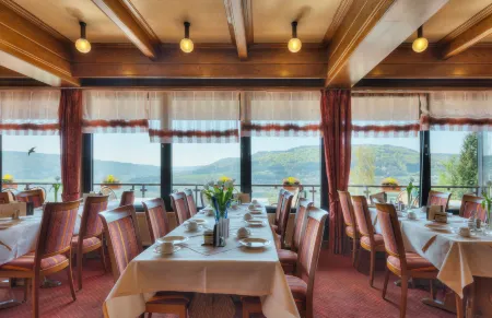 Waldhotel Sonnenberg