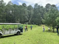 Cabañas Zacatlan - Homestays