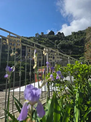 Pensione Sorriso Hotels in 