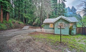 California Cottage < 4 Mi to Redwood Hiking Trails