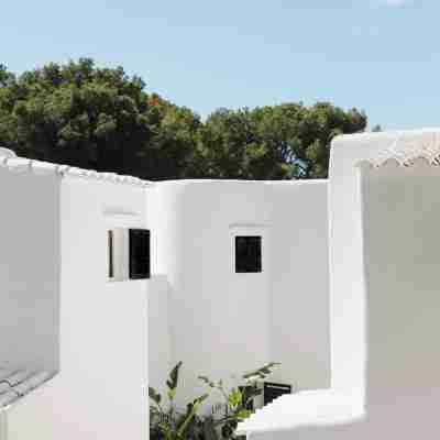 Fergus Style Punta Arabi Hotel Exterior