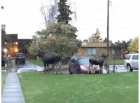 Inlet View House - Downtown Anchorage