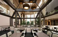 Embassy Suites by Hilton Palm Beach Gardens PGA Boulevard Hotels in Palm Beach Gardens
