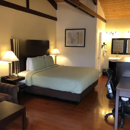 Lombard Plaza Motel Отели рядом с достопримечательностью «Пасифик-Хайтс»