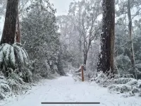 Warburton<br>4 bedroom house near all of Warburton attractions, right on the yarra