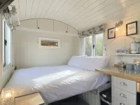 Duck House - 1 Bed Shepherds Hut - Gower
