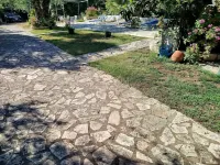 Rozalia Studios - Pet friendly