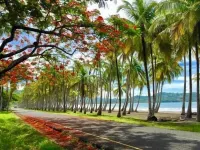 Near the Beach/Private Pool. Walkable/Amazing Gardens. 5 Bdr/Ideal for Families