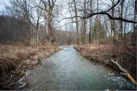 Cabin, cottages, fishing, Hunting, Trails, nature, creek