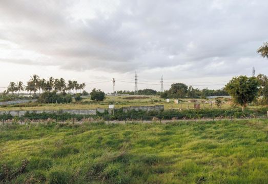 골퍼스 아레나 바이 스테이제이드
