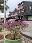 Tyh Hotel Hotel in zona Jeti Kuala Perlis