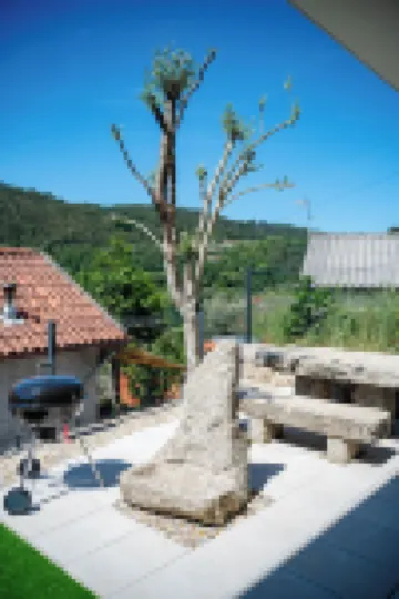 Lajinha do Ave Hotels in 