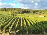 Beautiful stone house in St Clements Vineyards Hotels in La Garde-Freinet