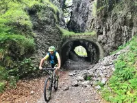 Olive Tree House- Vacation Rentals