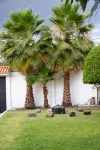 Cuernavaca, holiday villa for large families Hotels in Tres de Mayo