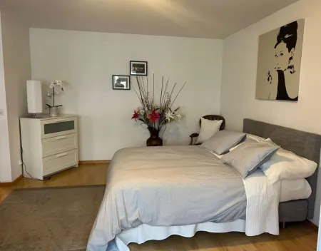 Basel Schweiz Apartment 302