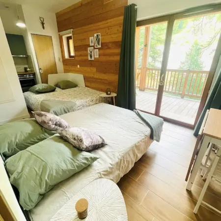 Superb Cosy Studio, Terrace, parking, ski locker close to slopes.