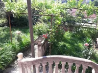 Shota's Guest House Hotels in 