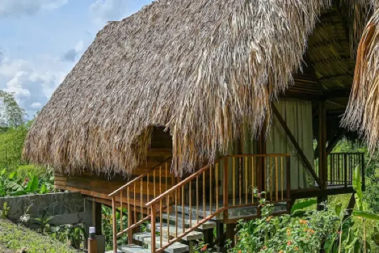 Cozy Cabin Nestled in Bamboo Forest