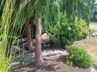 Sand and Salt Bed & Breakfast Hotels near وايت روك