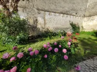 Charming apartment in a house with character Hotels in Surgeres