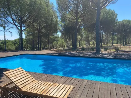 House among the Trees