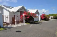 L'éden de Joséphine - Lavande