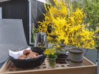 "Gjertrud" - 1km from the Sea - Homestays