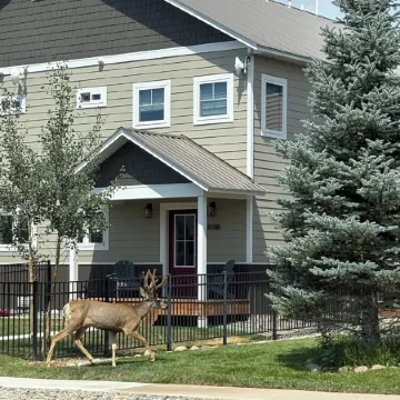 Relax in Spacious Comfort; Walk to Main St. and Trails. 30 Min to Crested Butte