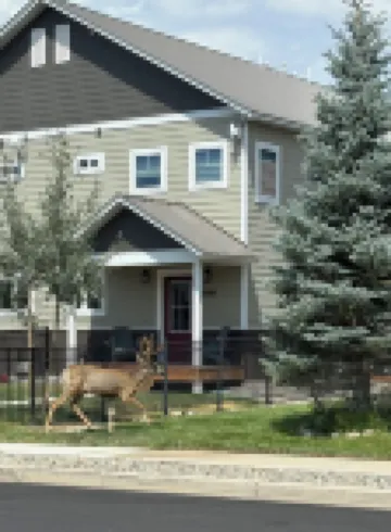 Relax in Spacious Comfort; Walk to Main St. and Trails. 30 Min to Crested Butte