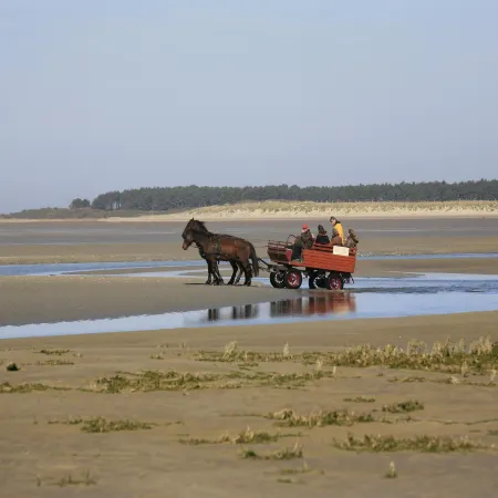 Holiday Flat in Cayeux-sur-Mer near Beach