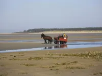 Holiday Flat in Cayeux-sur-Mer near Beach