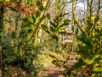 Treehouse in Germansweek near Dartmoor Trails Hotels in 