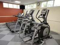 Holiday Inn Resort ORLANDO LAKE BUENA VISTA by IHG - salle de sport