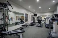 Staybridge Suites ROCKFORD by IHG - Gym
